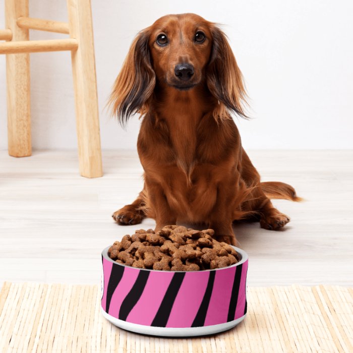 Tequila Girl pink zebra dog bowl with dachshund